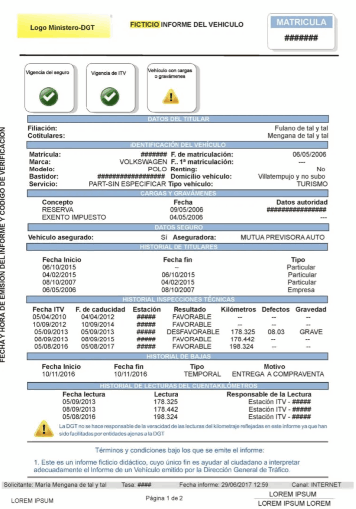 Ejemplo Informe Vehículo